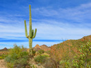 photo thumbnail #3