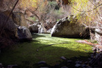 photo thumbnail #1