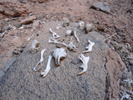 photo thumbnail #9