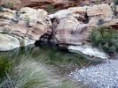 photo thumbnail #10