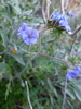 photo thumbnail #14