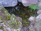 Featured Detail Photo