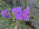 photo thumbnail #11