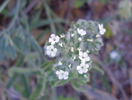 photo thumbnail #13