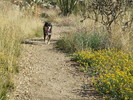 photo thumbnail #2