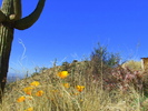 photo thumbnail #3