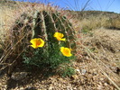photo thumbnail #8