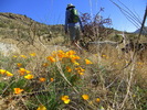 photo thumbnail #9
