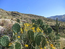 photo thumbnail #10