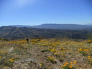 photo thumbnail #11
