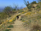 photo thumbnail #12