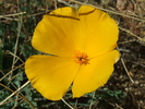 photo thumbnail #13