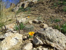 photo thumbnail #14