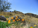 photo thumbnail #15