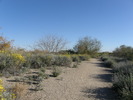 photo thumbnail #7