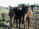photo thumbnail #12