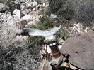 photo thumbnail #10