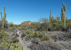 photo thumbnail #12