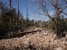 photo thumbnail #4