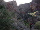 photo thumbnail #12