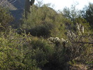 photo thumbnail #3