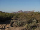 photo thumbnail #4