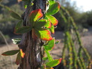 photo thumbnail #6