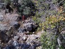 photo thumbnail #1