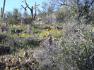 photo thumbnail #6