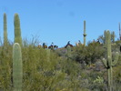 photo thumbnail #7