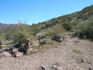 photo thumbnail #7