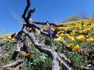photo thumbnail #14