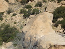 photo thumbnail #1