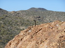 photo thumbnail #8