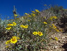 photo thumbnail #10