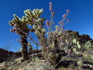 photo thumbnail #12