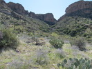 photo thumbnail #8
