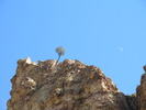 photo thumbnail #12