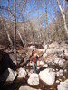 photo thumbnail #8