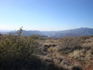photo thumbnail #11