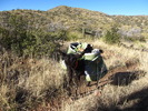 photo thumbnail #4