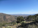 photo thumbnail #2