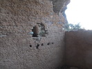 photo thumbnail #13