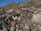 photo thumbnail #3