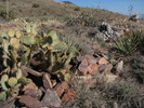 photo thumbnail #6