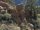 photo thumbnail #10