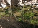 photo thumbnail #14