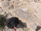 photo thumbnail #2