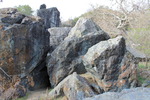 photo thumbnail #10