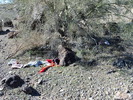 photo thumbnail #3